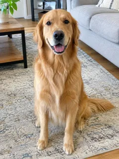 Photo 2: an AI-generated face used for this example